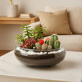 Jade With Fittonia & Cactus Plant In Small Fish Bowl