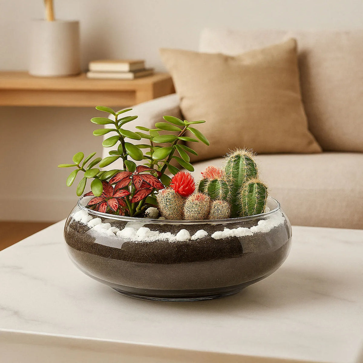 Jade With Fittonia & Cactus Plant In Small Fish Bowl
